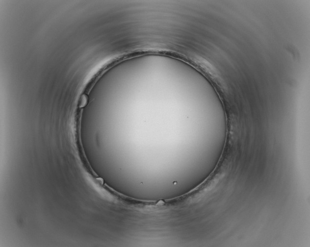 X0000113890942200910081805