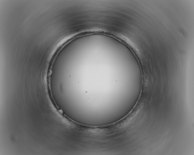 X0000113890943200910081805