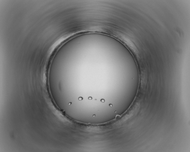 X0000113890944200910081805