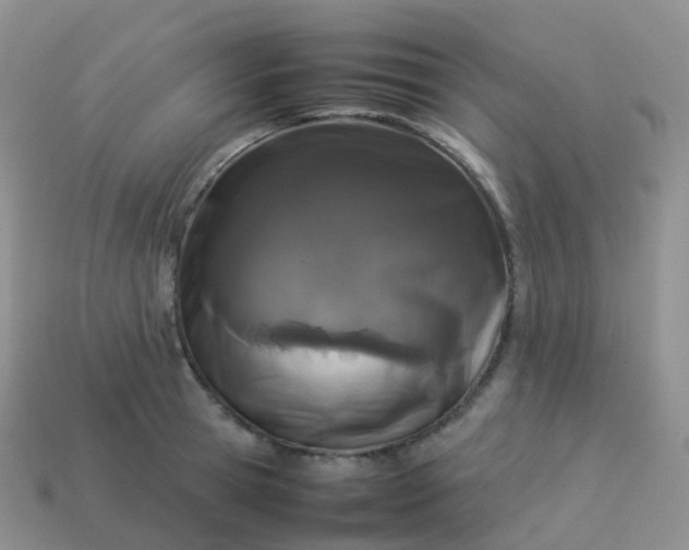 X0000113890945200910081805