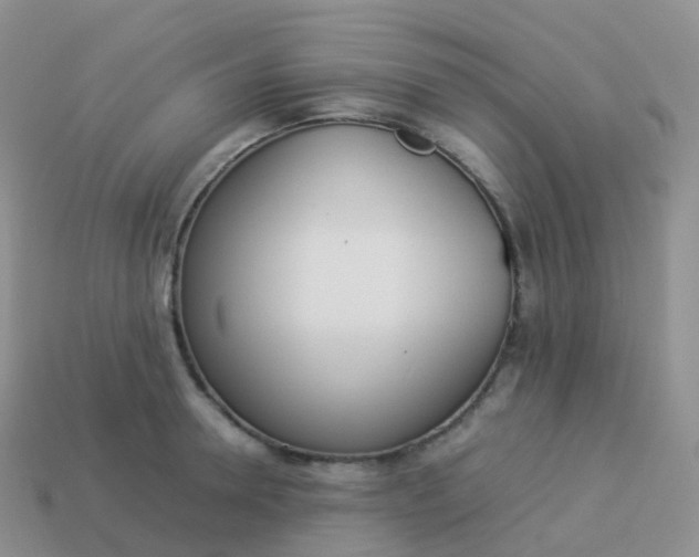 X0000113890946200910081805