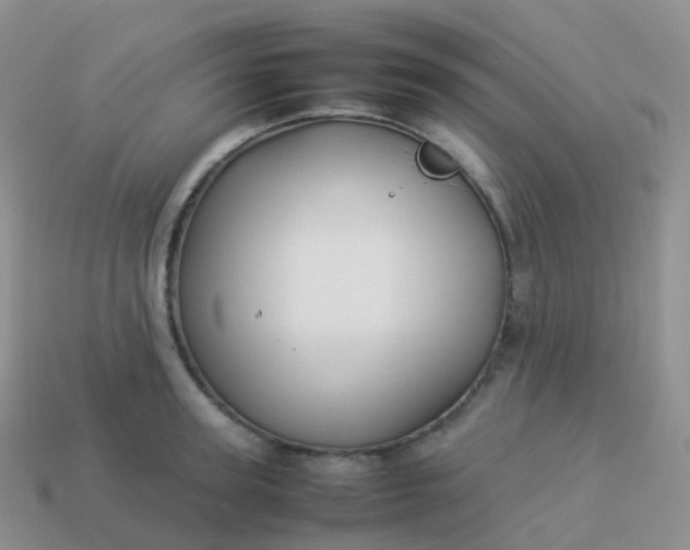 X0000113890947200910081805