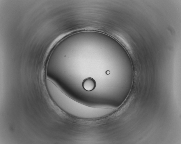 X0000113890948200910081805