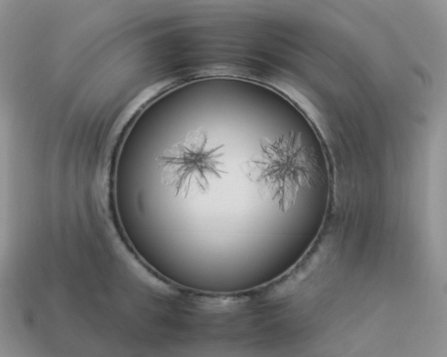 X0000113890949200910081805