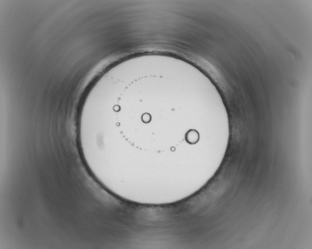 X0000113890950200910081805