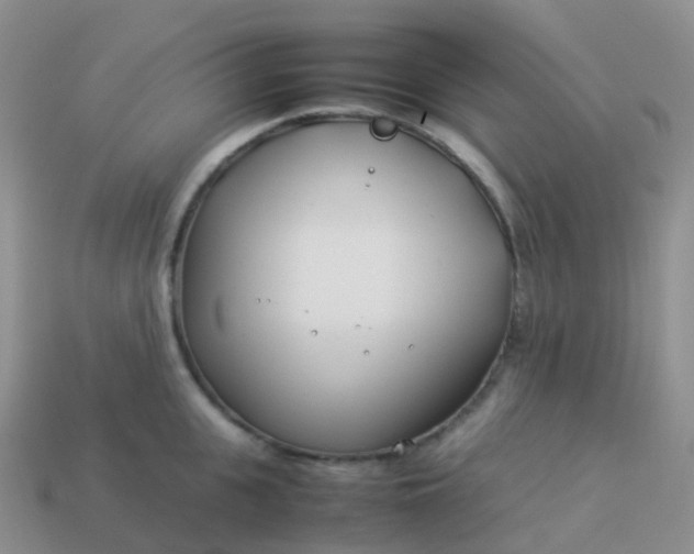 X0000113890951200910081805