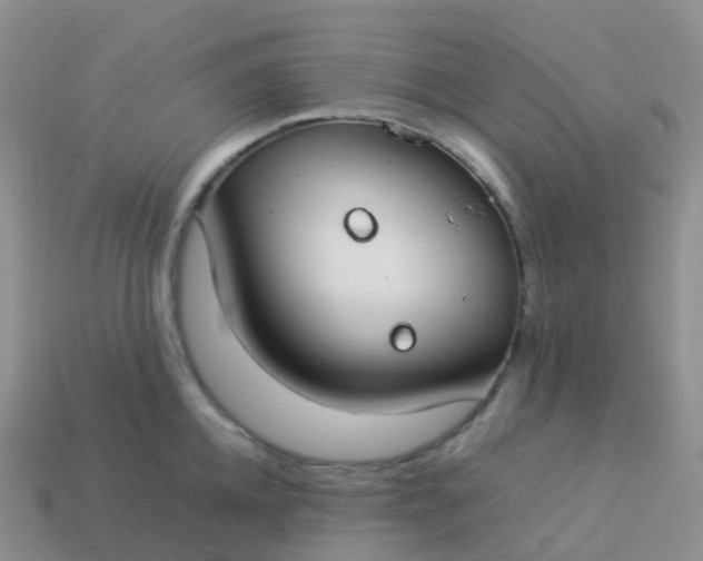 X0000113890952200910081805