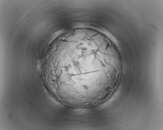 X0000113890953200910081805