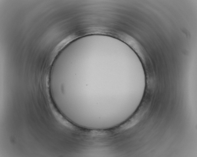 X0000113890954200910081805