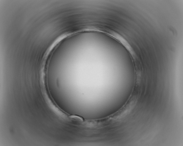 X0000113890955200910081805