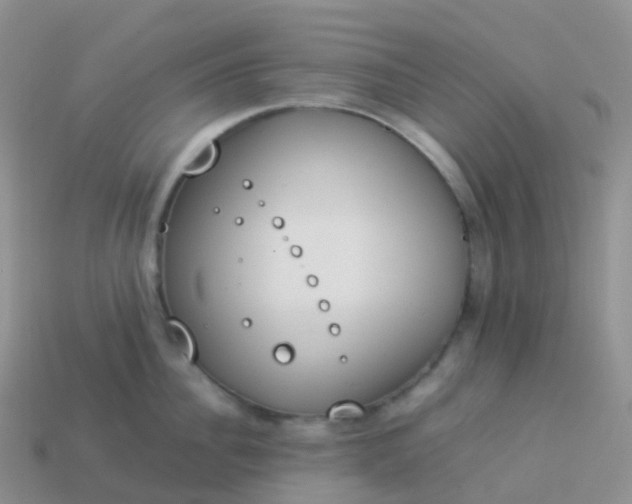 X0000113890956200910081805