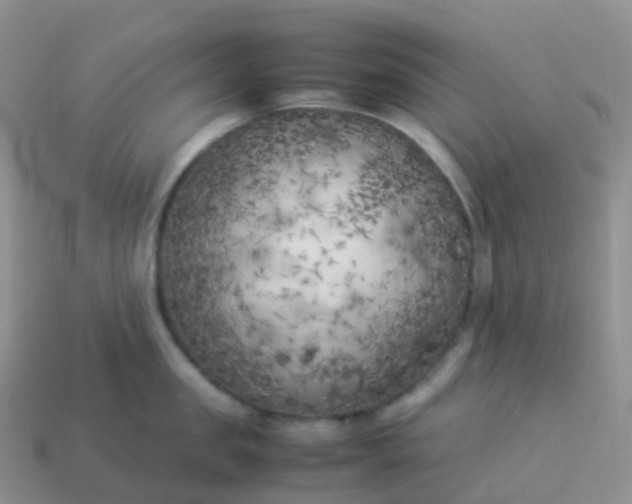 X0000113890957200910081805