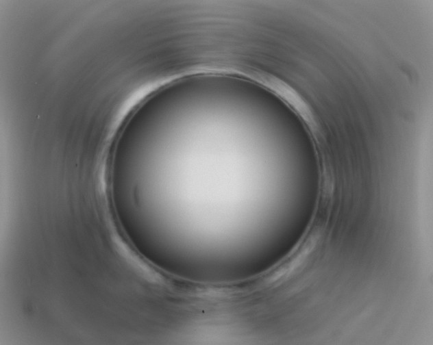 X0000113890958200910081805