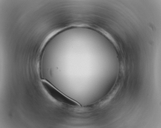 X0000113890959200910081805