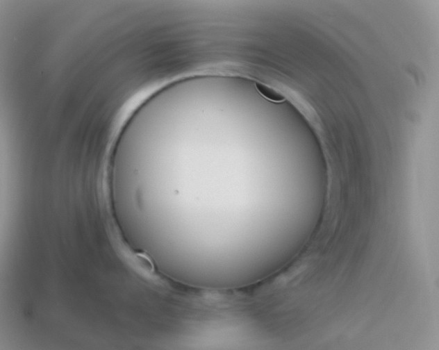 X0000113890960200910081805