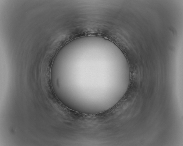 X0000113890961200910081805