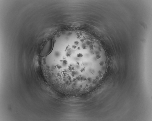 X0000113890962200910081805