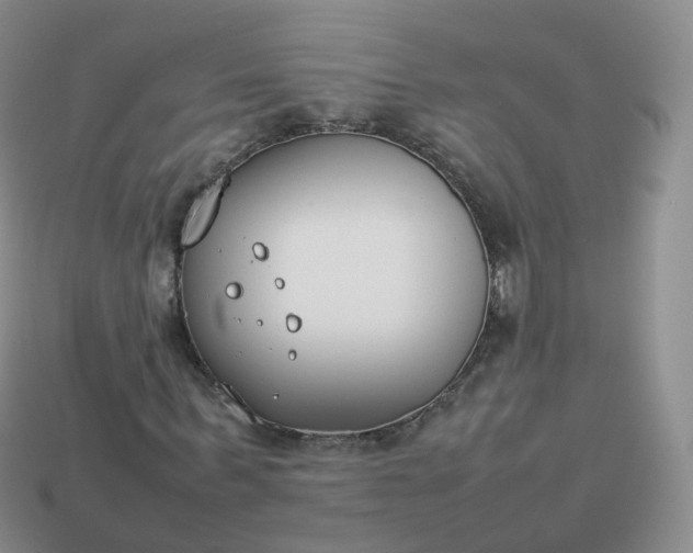 X0000113890963200910081805