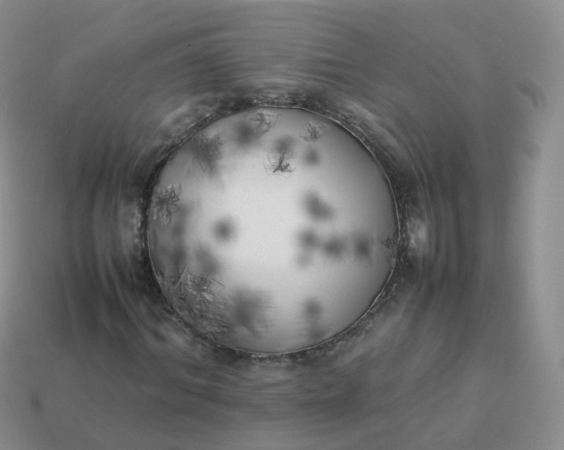 X0000113890964200910081805