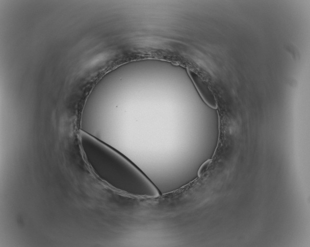 X0000113890965200910081805