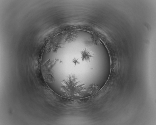 X0000113890966200910081805