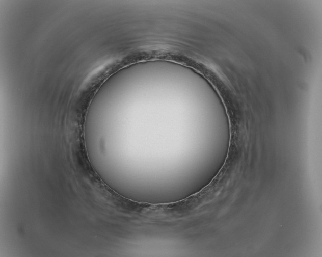 X0000113890967200910081805