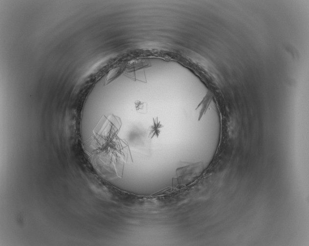 X0000113890968200910081805