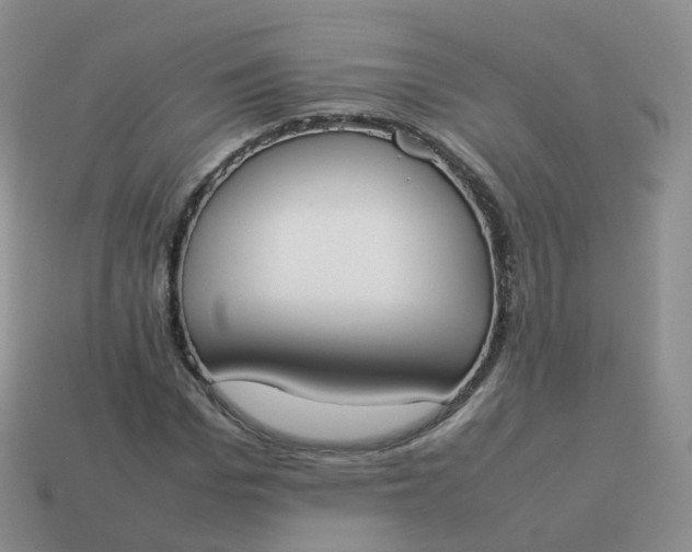 X0000113890969200910081805