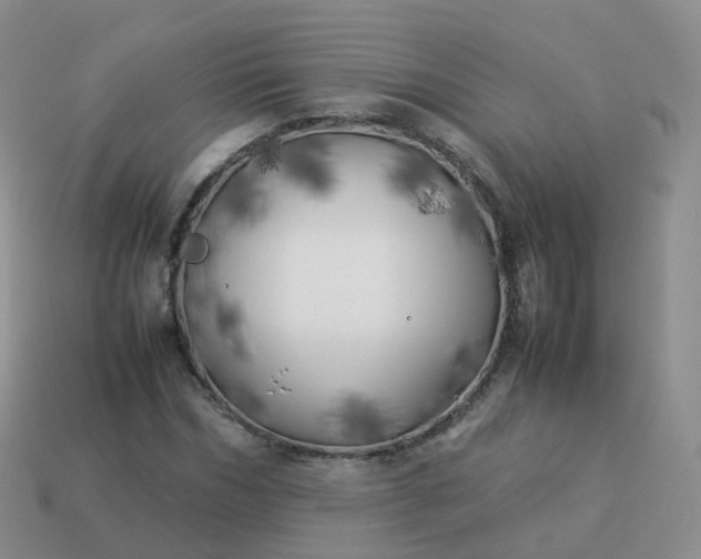 X0000113890970200910081805