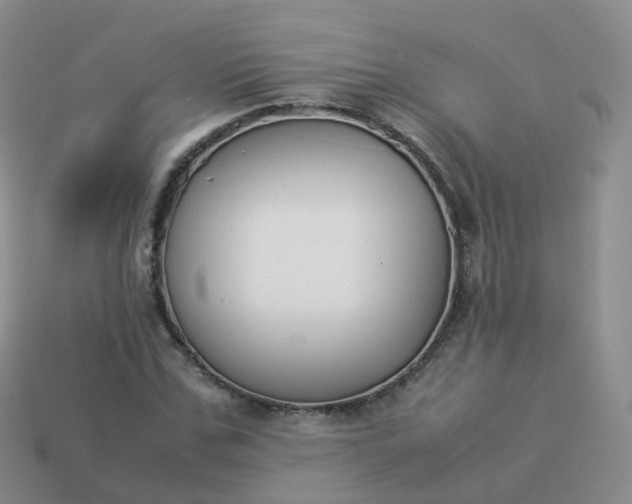 X0000113890971200910081805