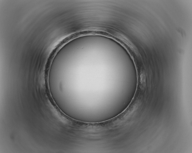 X0000113890972200910081805