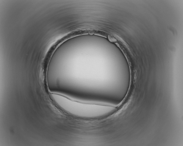 X0000113890973200910081805