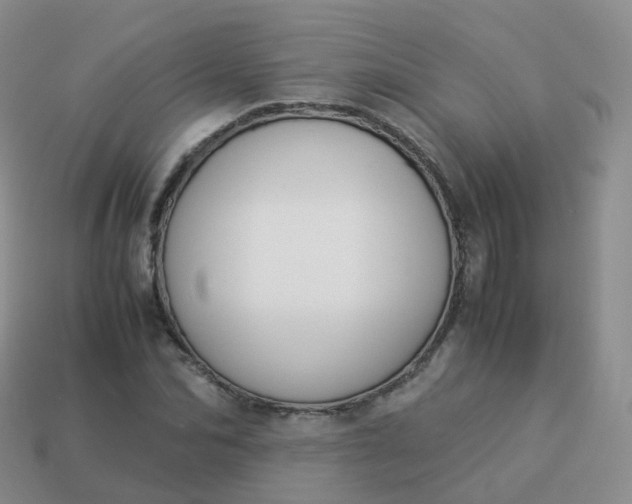 X0000113890974200910081805