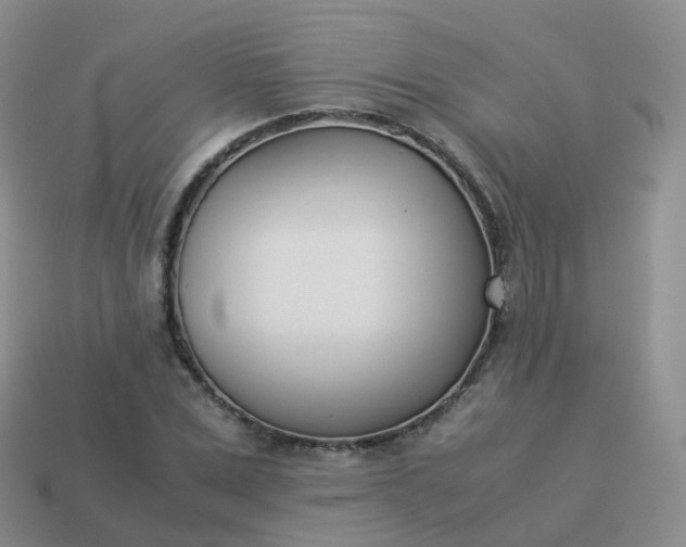 X0000113890975200910081805