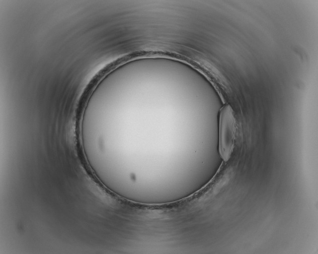 X0000113890976200910081804