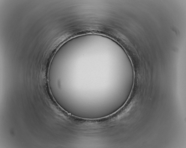 X0000113890977200910081804