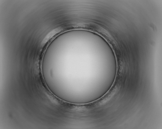 X0000113890978200910081804