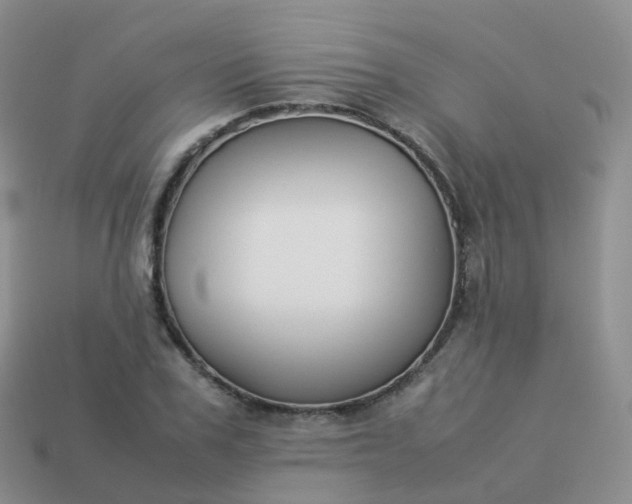 X0000113890979200910081804