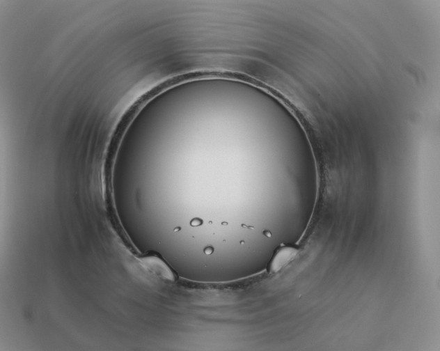 X0000113890980200910081804