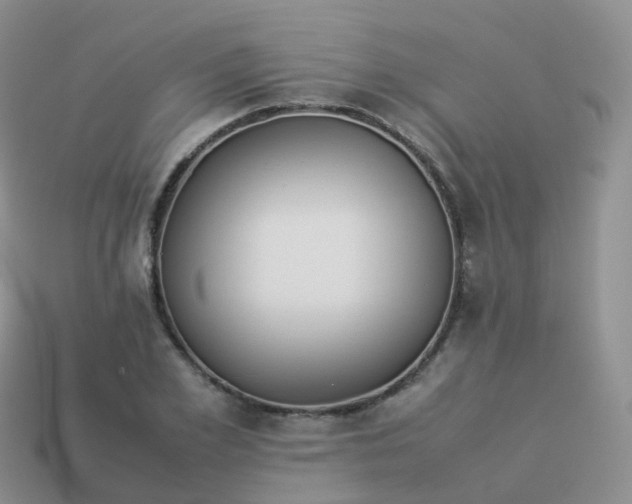 X0000113890981200910081804