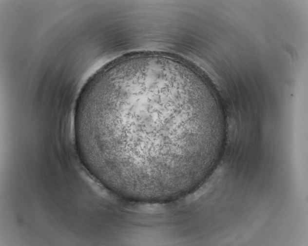 X0000113890982200910081804