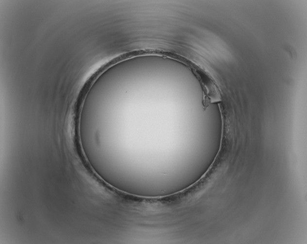 X0000113890983200910081804