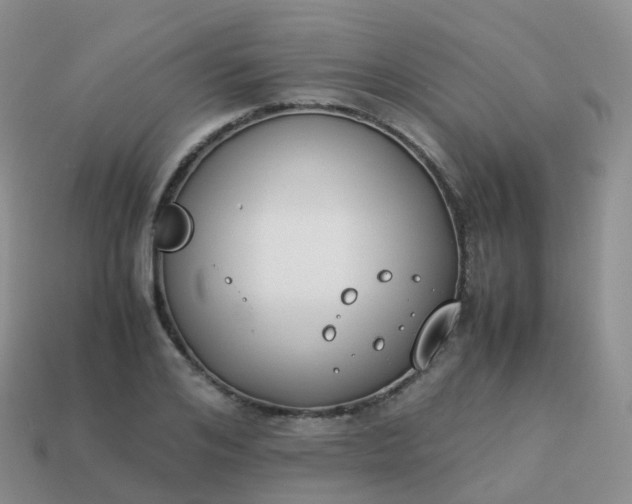 X0000113890984200910081804