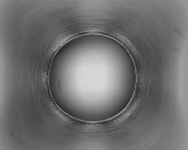 X0000113890985200910081804