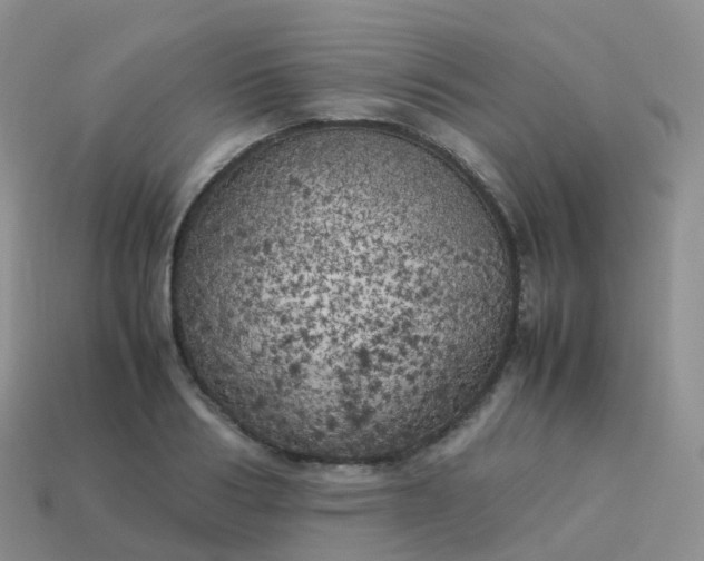 X0000113890986200910081804