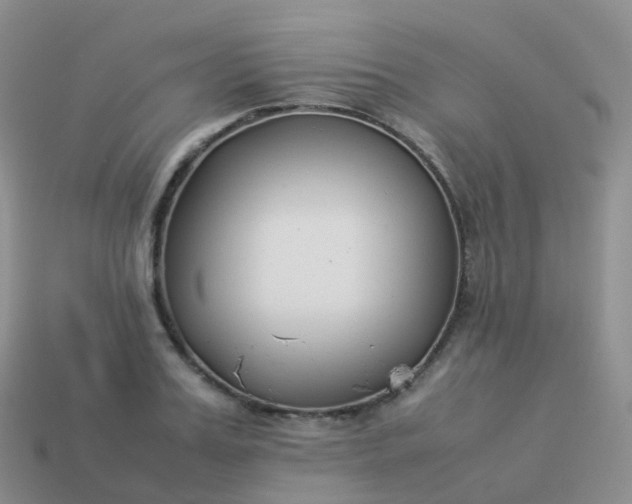 X0000113890987200910081804