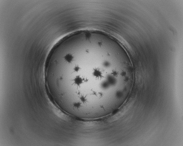 X0000113890988200910081804