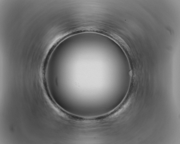 X0000113890989200910081804