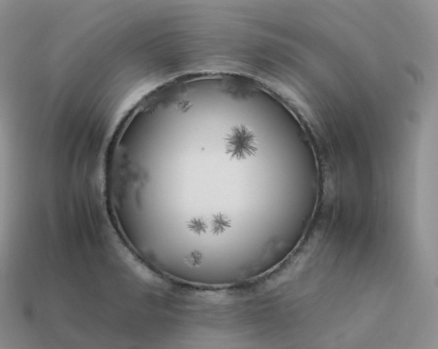 X0000113890990200910081804