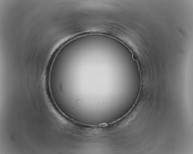 X0000113890991200910081804